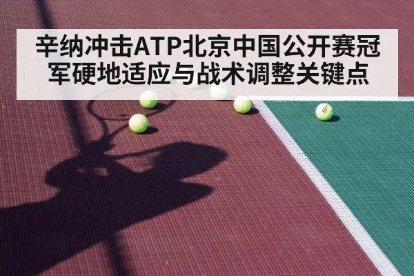 tennis hard court player